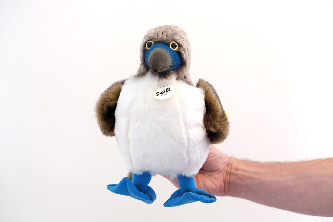 blue footed booby plush