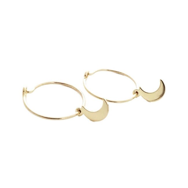 Honeycat Magic Charm Moon Hoops Earrings