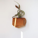 Untitled Co. Untitled Co. Georgia Air Plant Holder Red Oak