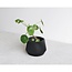 Minimum Design Oslo Indoor Planter Black L