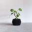 Minimum Design Dissipat Indoor Planter Black Large