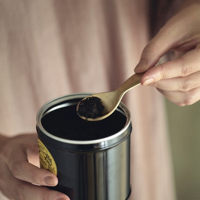 Brass Tea Caddy Spoon