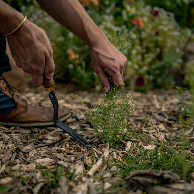 Dandelion Weeding Fork