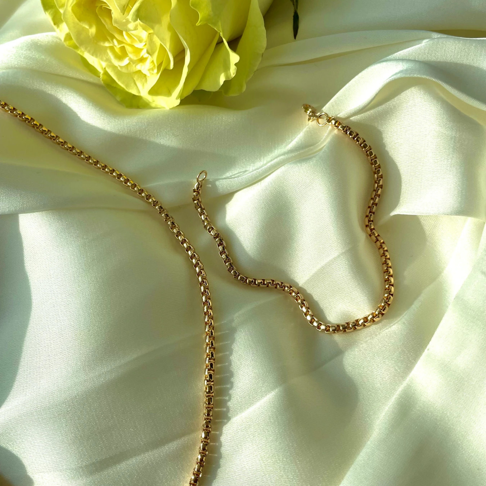 Olivia Le Olivia Le Devon Venetian Chain Necklace
