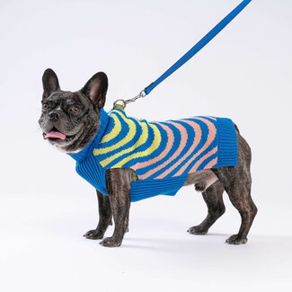 Verloop VERLOOP Sound Wave Dog Sweater Lime Cobalt