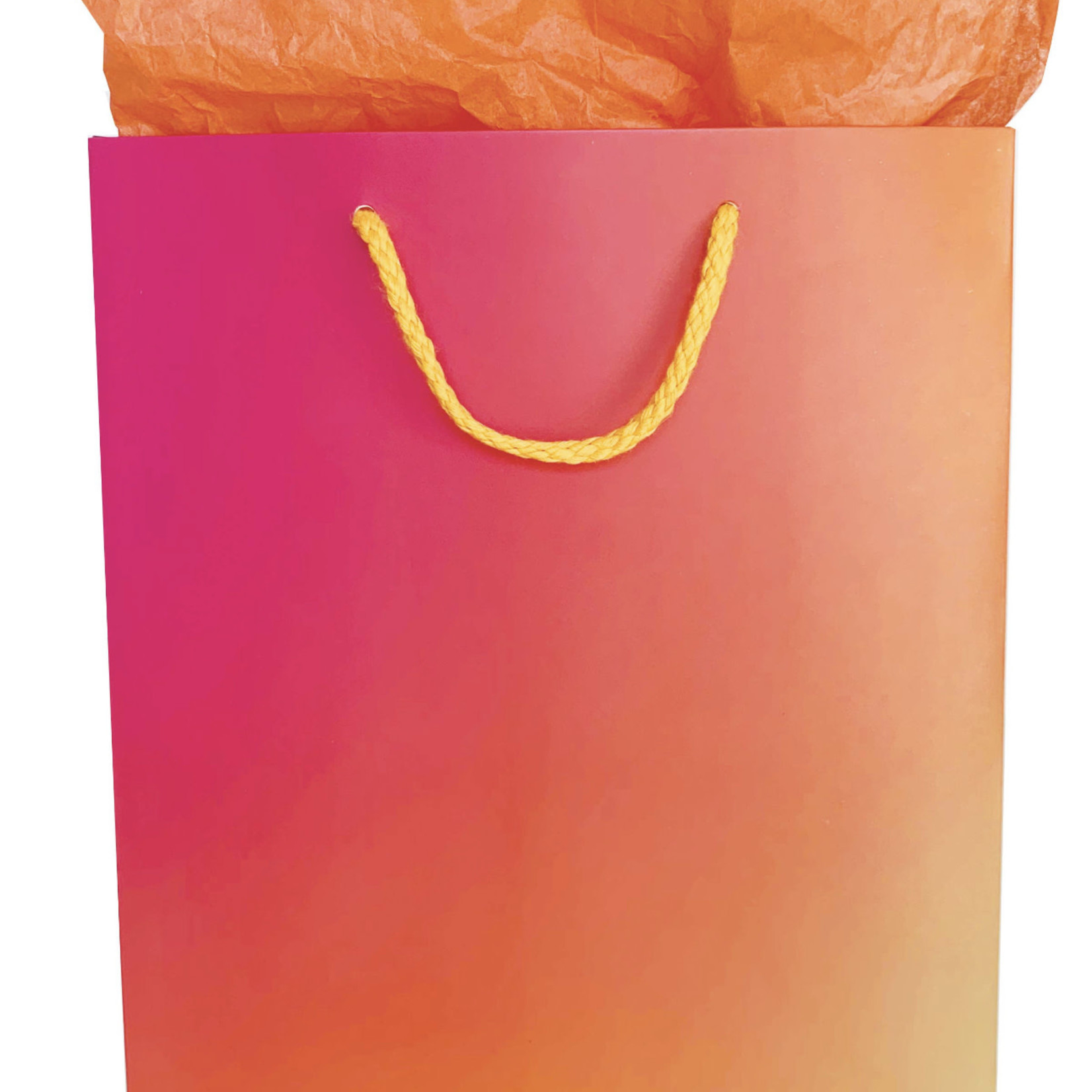 The Social Type Colorful Gradient Gift Bag