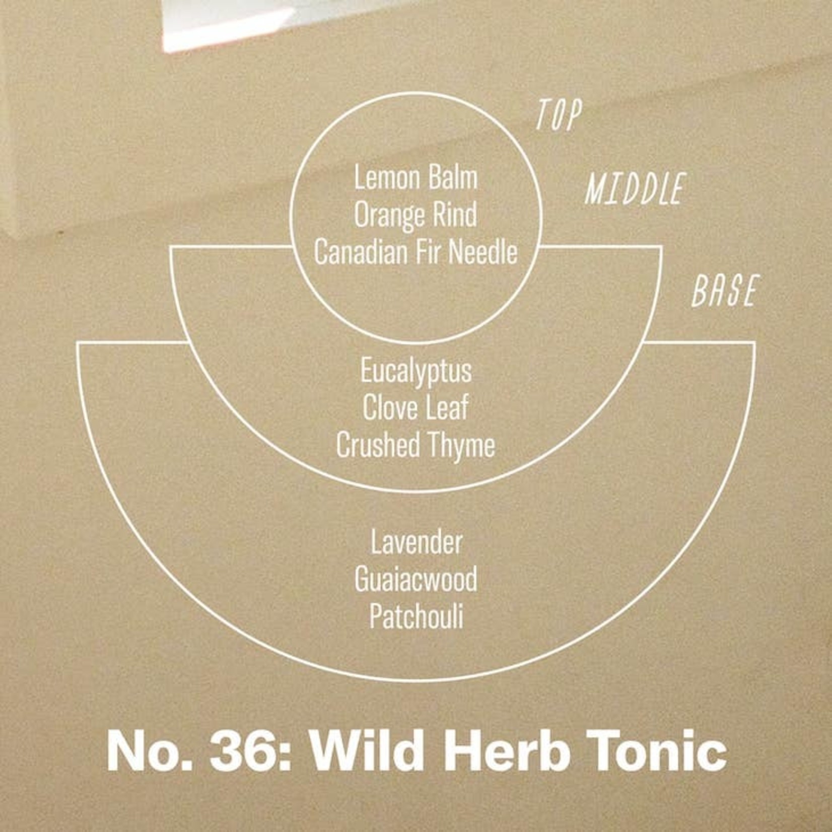 P.F. Candle Co. P.F. Candle Diffuser Wild Herb Tonic