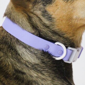 Approved By Fritz Fritz Collar Two-Tone Lilac/Grey