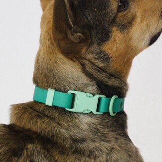 Approved By Fritz Fritz Collar Two-Tone Green