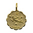 14k Gold Plated Zodiac Necklace