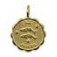 14k Gold Plated Zodiac Necklace
