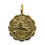 14k Gold Plated Zodiac Necklace