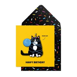 Tache Birthday Black Cat