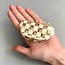 Chunks Checker Claw in Clear