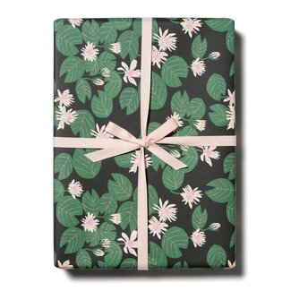Red Cap Cards Water Lilies Wrapping Paper Rolls