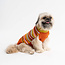 Verloop Circus Stripe Dog Sweater Desert