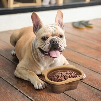 Fred & Friends Fred Howligans Collapsible Dog Bowl