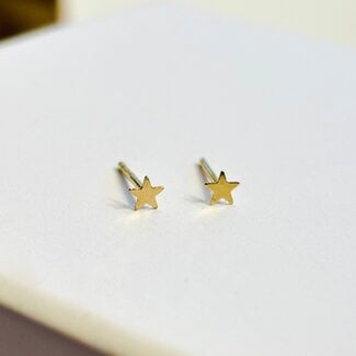 Selah Vie Selah Vie Mini Star Stud Earrings