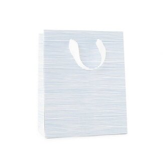 Sugar Paper Blue Painted Stripe Gift Bag - Medium