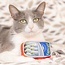 Huxley & Kent Sardine Tin For Cats