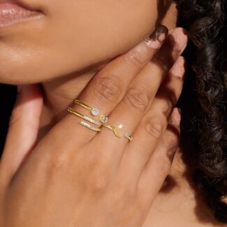 A Littles & Co. Stacks Of Style Round Rings In Gold