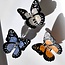 Solar Eclipse Monarch Butterfly Hair Claw White