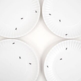 onehundred80degrees Picnic Melamine Ant  "Paper" Plate 9" Set 4