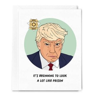 Sammy Gorin Donald Trump, Look A Lot Like Prison, Mugshot Christmas Card