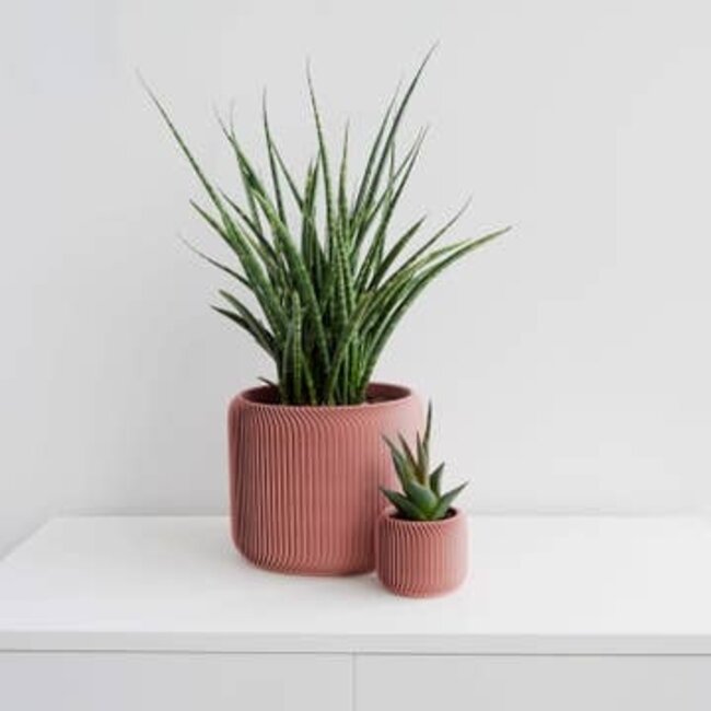 Conifer Pine Planter Salmon