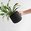 Conifer Pine Planter Black