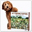 Funwares  101 Pooping Puppies 1000 Piece Puzzle