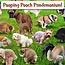 Funwares  101 Pooping Puppies 1000 Piece Puzzle