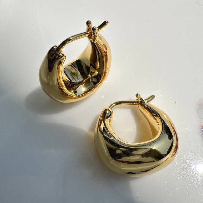 Dumpling Chunky Hoops