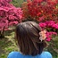 Solar Eclipse Cherry Blossoms Pink Hair Claw