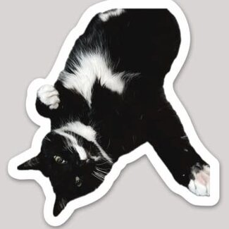 Woods Grove Chris' Cat Mittens Sticker