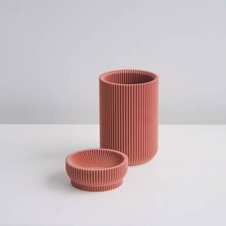Conifer Conifer Larch Stacking Containers Salmon