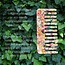 Solar Eclipse Wide Tooth Comb Multi-Tortoise