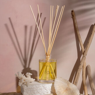 Brooklyn Candle Studio Reed Diffuser Maui