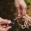 Explorer Multi-Tool