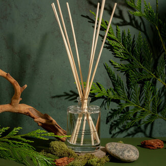 Brooklyn Candle Studio Reed Diffuser Catskills