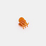 Chunks Mini Claw in Caramel Plaid
