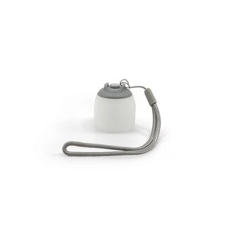 Barebones Multi Color Mini Light