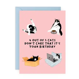 Central 23 Cards 4 Out of 5 Cats Funny Birthday