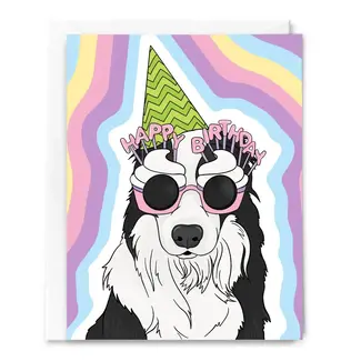 Sammy Gorin Border Collie Birthday Dog Card