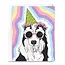 Border Collie Birthday Dog Card