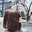 Solar Eclipse Mini Bichon Hair Claw