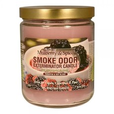 Smoke Odor SMOKE ODOR Candle Mulberry & Spice