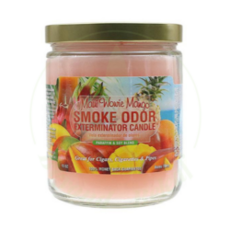 Smoke Odor SMOKE ODOR Candle Maui Wowie Mango