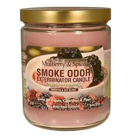 Smoke Odor SMOKE ODOR Candle Mulberry & Spice