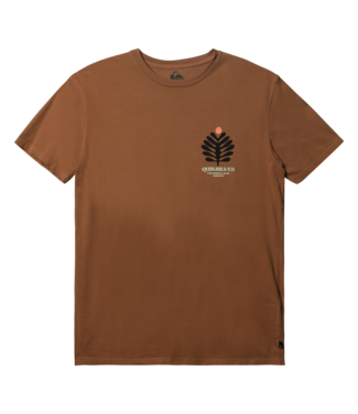 Quiksilver Promote The Stoke Tee -